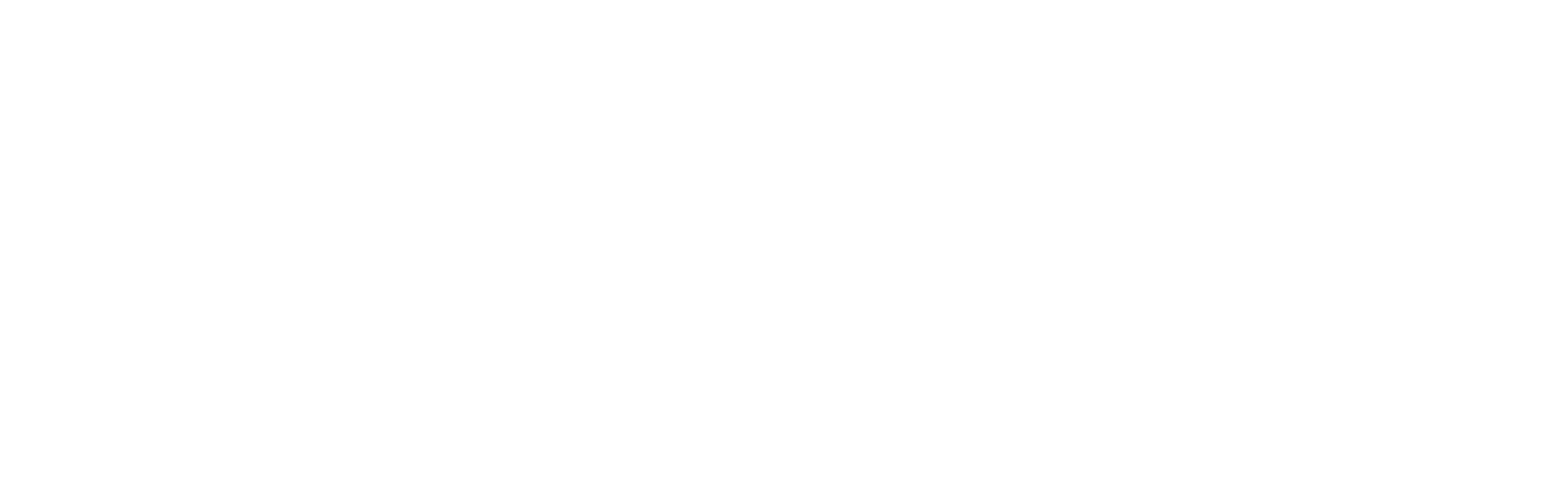 Visa_weiß