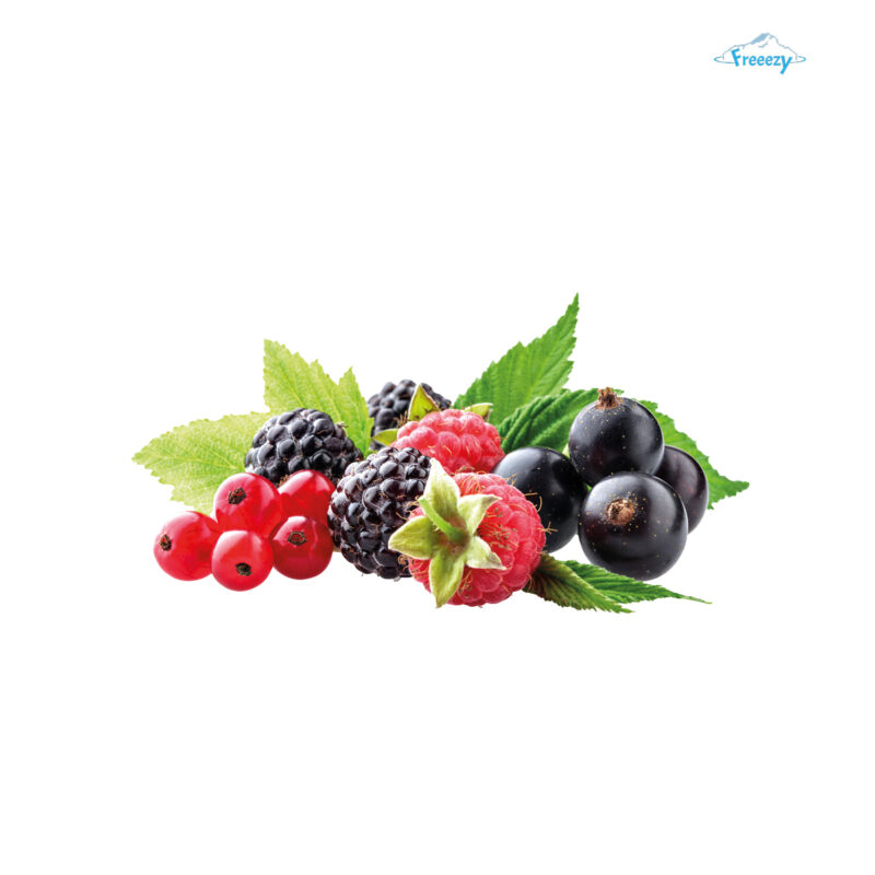 Freeezy Variegato Waldbeeren